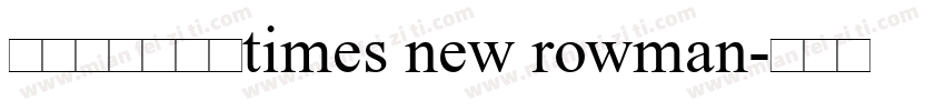 阿拉伯数字字体times new rowman字体转换